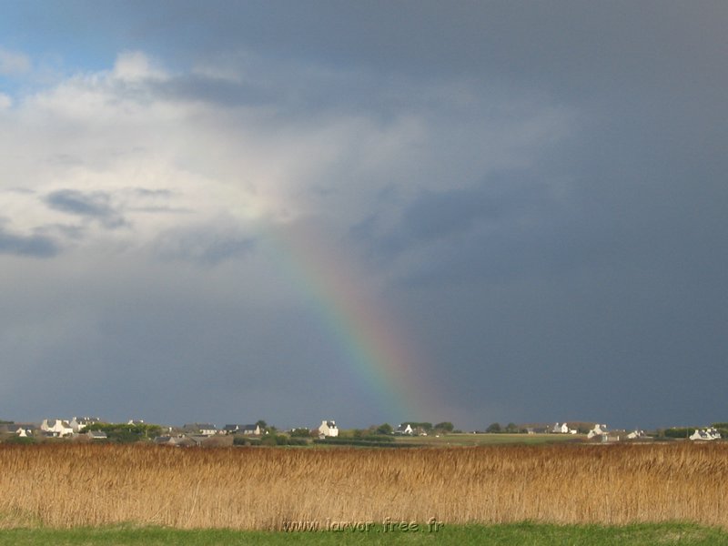 paysage1.JPG